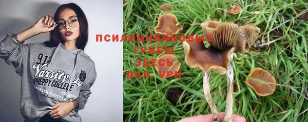 бошки Волосово