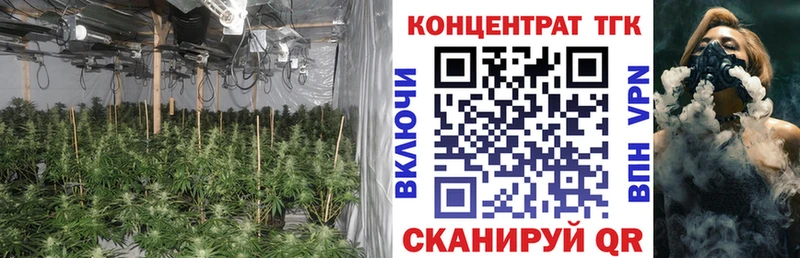 Дистиллят ТГК Wax  Купить где  Гаджиево 