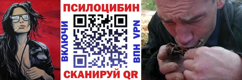 Галлюциногенные грибы Psilocybe  Купить  Гаджиево 